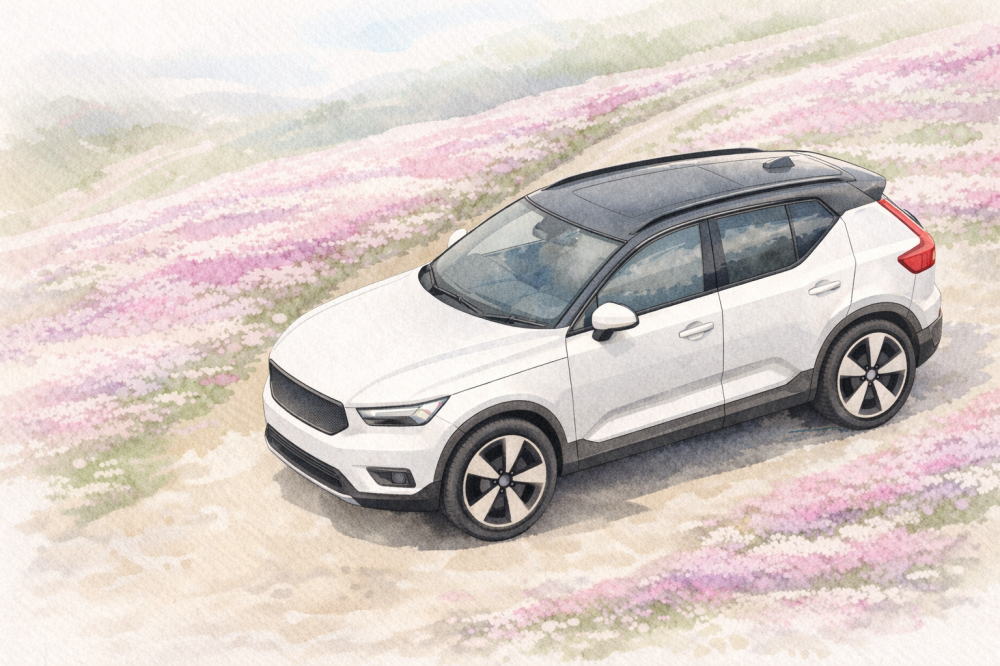 「ボルボXC40の中古はなぜ安い」を解説する記事用イメージ画像。芝桜の丘陵と北欧デザイン車風水彩イラスト。